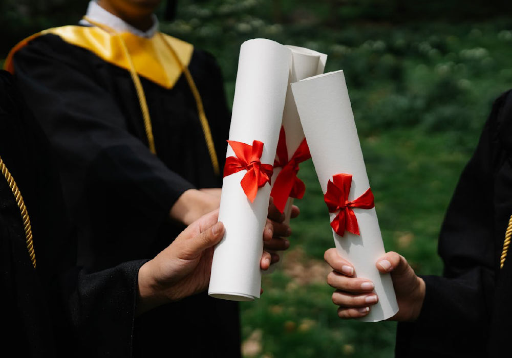 Tailored Education Solutions For Your Family